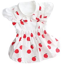 狗衣服 款貓咪泰迪比熊法斗美夏季薄款小型幼犬超夯 精品 歷史價格詳細信息