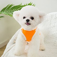 【約克精品】夏日情懷施華洛元素晶鑽包銠金不鏽鋼針式耳環(SGS認證) 歷史價格詳細信息