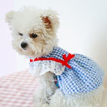 狗衣服 衣服夏季薄款幼貓剃毛無袖矮腳貓貓背心超夯 精品 歷史價格詳細信息
