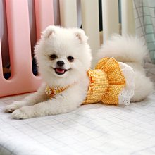 狗衣服 貓薄款貓貓貓布偶貓英短藍貓秋季防掉毛超夯 精品 歷史價格詳細信息