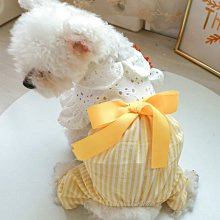 狗衣服 咪泰迪比熊美可貓小狗夏季薄款純棉背心超夯 精品 歷史價格詳細信息