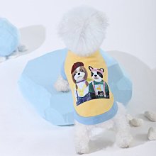 狗衣服 熊泡泡裙狗狗比熊泰迪貓咪夏季裙子衣服超夯 精品 歷史價格詳細信息