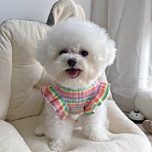 狗衣服 條紋三色款衣服秋裝狗衣服法斗泰迪比熊超夯 精品 歷史價格詳細信息