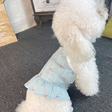 狗衣服 半裙小裙子春夏秋輕薄透氣布偶英短泰迪超夯 精品 歷史價格詳細信息