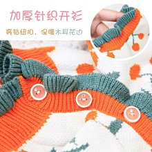 精品雪納瑞專用梳子針梳毛器刷刮除去浮毛開結狗狗幼犬中大型犬用品結 歷史價格詳細信息