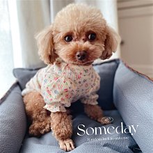 狗衣服 貓咪小型犬泰迪雪納瑞比熊美衣服薄款夏超夯 精品 歷史價格詳細信息