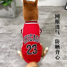 狗衣服 掉毛金毛拉布拉多中大型犬肚關節四腳衣超夯 精品 歷史價格詳細信息