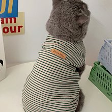 狗衣服 衣服夏季薄款幼貓剃毛無袖矮腳貓貓背心超夯 精品 歷史價格詳細信息
