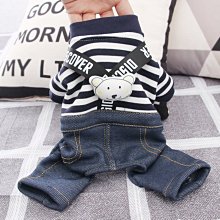 狗衣服 熊泡泡裙狗狗比熊泰迪貓咪夏季裙子衣服超夯 精品 歷史價格詳細信息
