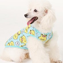 狗衣服 泰迪頭夏季吊帶透氣背心狗狗薄款衣服韓超夯 精品 歷史價格詳細信息