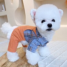 狗衣服 泰迪小狗狗衣服四腳衣牛仔背帶格子冬季超夯 精品 歷史價格詳細信息