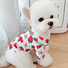 狗衣服 狗狗小型犬貓咪比熊泰迪貴賓雪納瑞美裙超夯 精品 歷史價格詳細信息