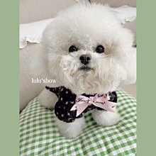 比爾熊包包女2023新款卡通可愛雙肩揹包女2022大學生大容量雙肩包 歷史價格詳細信息