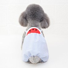 狗衣服 咪防臟泰迪比熊美幼犬小型秋冬薄款背心超夯 精品 歷史價格詳細信息