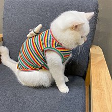 狗衣服 超薄短款衣服泰迪貓咪防曬娃娃衫小飛袖超夯 精品 歷史價格詳細信息