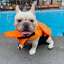 柯基專用狗狗斗篷反光雨衣寵物小型犬雨天防水雨披中型犬遛狗衣服 歷史價格詳細信息