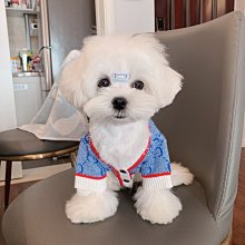 小瑞熊腰帶式造口袋二件式直改道造瘻袋大便袋非黏貼肛道口袋 歷史價格詳細信息