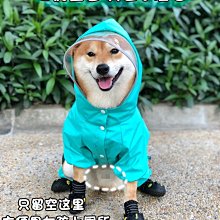 雪納瑞泰迪鑰匙圈吊飾-滿599免運 歷史價格詳細信息