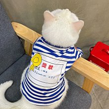 狗衣服 超薄短款衣服泰迪貓咪防曬娃娃衫小飛袖超夯 精品 歷史價格詳細信息