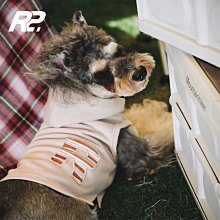 雪納瑞泰迪鑰匙圈吊飾-滿599免運 歷史價格詳細信息