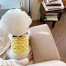 【約克精品】夏日情懷施華洛元素晶鑽包銠金不鏽鋼針式耳環(SGS認證) 歷史價格詳細信息