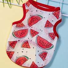 夏咪衣服薄款小貓幼貓防掉毛矮腳貓藍貓布偶背心夏季狗狗衣服 歷史價格詳細信息