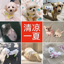 夏咪衣服薄款小貓幼貓防掉毛矮腳貓藍貓布偶背心夏季狗狗衣服 歷史價格詳細信息