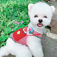 狗衣服 泰迪狗狗衣服春秋冬裝睡衣居家服打底衫超夯 精品 歷史價格詳細信息