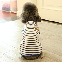 狗衣服 薄款夏季衣服泰迪貴賓小型犬帶扣子夏裝超夯 精品 歷史價格詳細信息