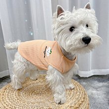 狗衣服 泰迪小狗比熊小型犬防掉毛比熊貓貓冬季超夯 精品 歷史價格詳細信息
