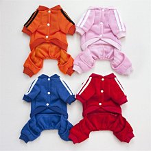 狗衣服 熊泡泡裙狗狗比熊泰迪貓咪夏季裙子衣服超夯 精品 歷史價格詳細信息