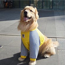 狗衣服 季金毛拉布拉多夏季衣服大狗薩摩耶衣服超夯 精品 歷史價格詳細信息