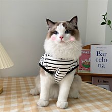 狗衣服 貓薄款貓貓貓布偶貓英短藍貓秋季防掉毛超夯 精品 歷史價格詳細信息