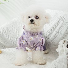 狗衣服 牛泰迪拉布拉多通用棉衣馬甲超夯 精品 歷史價格詳細信息