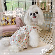狗衣服 裝幼犬貓咪泰迪狗狗衣服春夏季薄款背心超夯 精品 歷史價格詳細信息