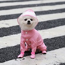 狗衣服 全包泰迪比熊美雪納瑞小型幼犬雨披衣服超夯 精品 歷史價格詳細信息