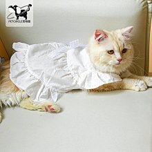 春季新款珍珠耳飾百搭氣質耳環輕奢高級感潮顯瘦耳環珍珠圈耳環 歷史價格詳細信息