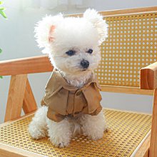 泰帥便攜小型車載制氧機家車兩用老人充電氧氣機充電式戶外帶霧化 歷史價格詳細信息