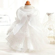 新款公主蕾絲鬆緊床裙床墊保護套床罩床圍裙不帶床面45 歷史價格詳細信息