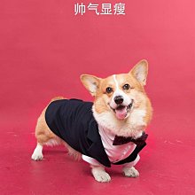 精致禮服長裙氣質高級感輕奢赫本風長袖高端黑色絲絨連衣裙女秋冬_佳美優品 歷史價格詳細信息