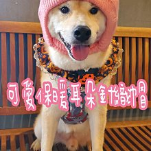 可愛針織4色毛球 圍巾披巾絲巾 橘魔法 現貨在台灣【p0061150311017】 歷史價格詳細信息