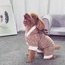 狗狗新年衣服寵物圣誕秋冬款小貓咪小狗小型犬泰迪博美比熊拜年服 歷史價格詳細信息