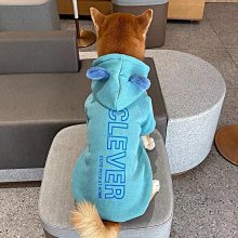 廠家出貨狗狗開衫毛衣春秋款小狗狗泰迪博美比熊雪納瑞小型犬寵物春季衣服 歷史價格詳細信息