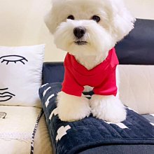 夏裝貓咪小狗狗薄款英短比熊科技博美泰迪小型犬幼犬春秋寵物背心 歷史價格詳細信息