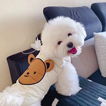 狗狗衣服 秋冬裝 泰迪比熊博美小型犬 寵物棒球服 加厚保暖 冬天 兩腳 VYBB 歷史價格詳細信息