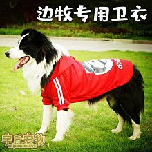 廠家出貨毛毛蟲沙發可躺可睡懶人沙發單人臥室小沙發網紅款奶油風陽臺椅 歷史價格詳細信息