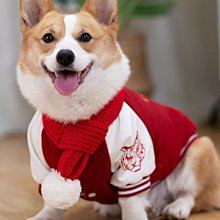 廠家出貨冬季寵物棉衣冬天泰迪比熊博美雪納瑞小型幼犬貓咪狗狗衣服秋冬裝 歷史價格詳細信息