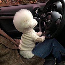 美博 廠家直銷 錄音筆學生錄音筆超長待機降噪商務會議光靣 插卡 歷史價格詳細信息