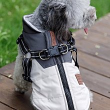 廠家出貨可牽引棉衣貓咪狗狗衣服秋冬裝泰迪寵物博美比熊小型幼犬冬季加厚 歷史價格詳細信息