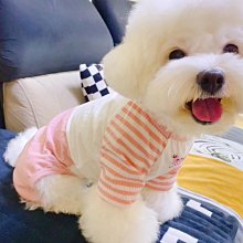 廠家出貨狗狗四腳衣秋冬季加厚保暖泰迪博美比熊小型幼犬寵物貓咪冬天衣服 歷史價格詳細信息